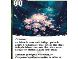 Mage Noir : Fleurs - Extension Végétale
