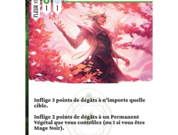 Mage Noir : Fleurs - Extension Végétale