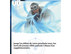 Mage Noir : Glace
