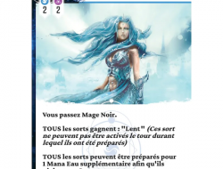 Mage Noir : Glace