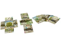 Forêt Mixte : Dartmoor