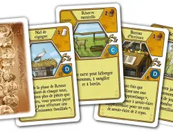 Agricola: Consul Dirigens - Extension