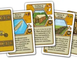 Agricola: Fermiers de la Lande - Extension